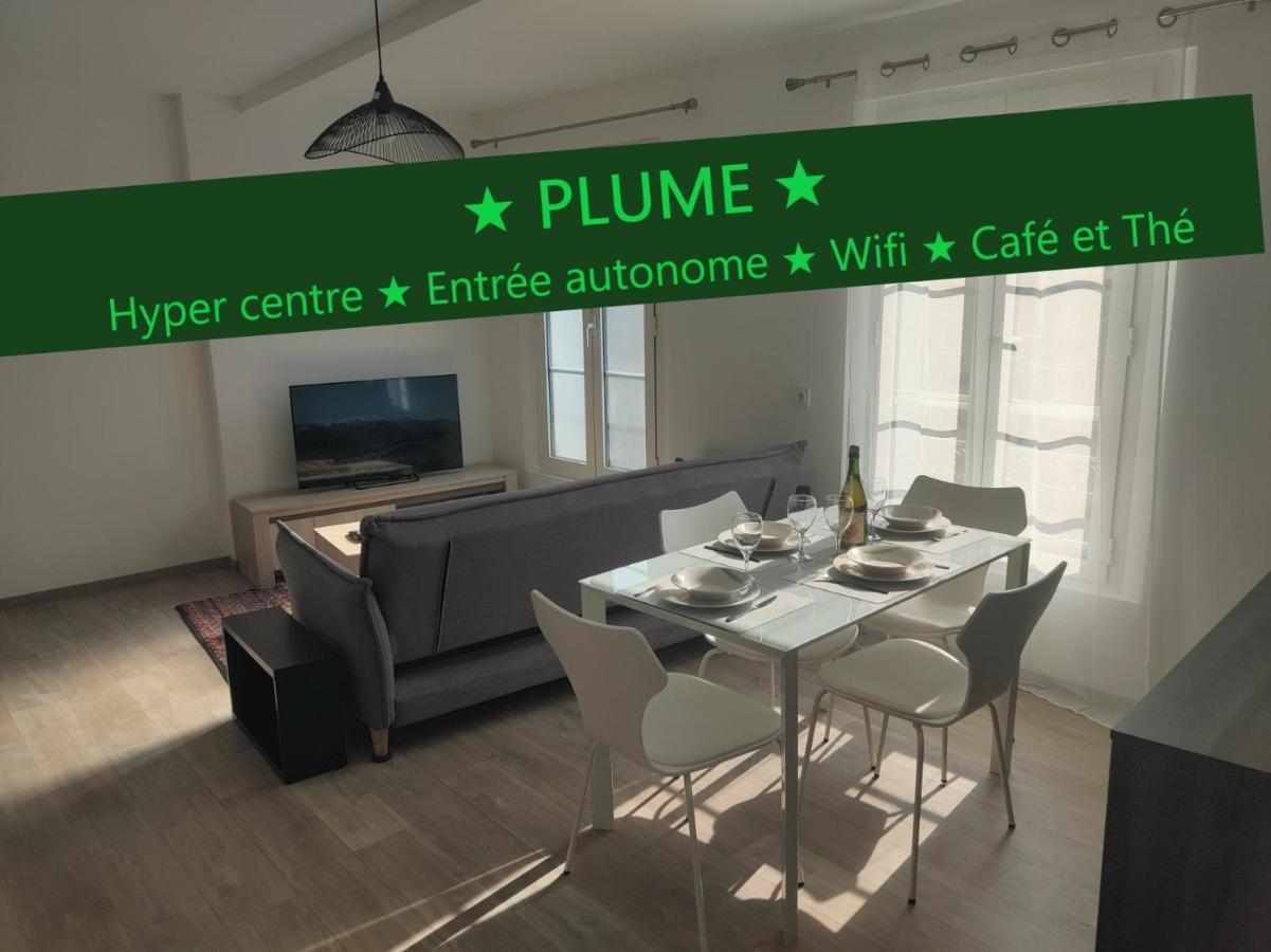 T3 Plume Hyper Centre D'ernee Ernée