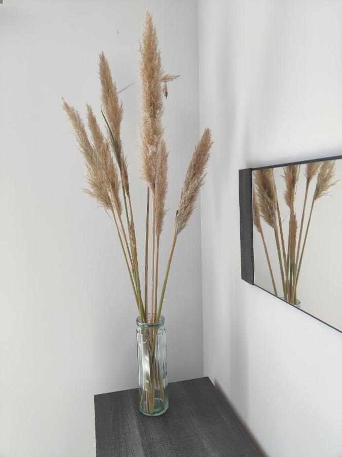 T3 Plume Hyper Centre D'ernee Ernée